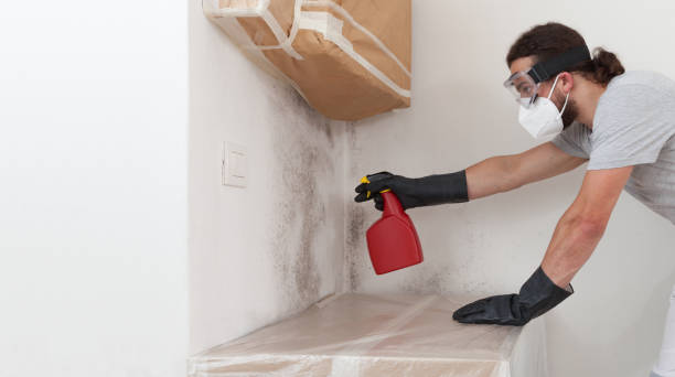 Professional Bathroom Mold Removal technician working in Jonestown, TX