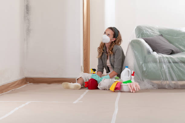 Reliable Bathroom Mold Removal contractor in Jonestown, TX by Mold Remediation HQ